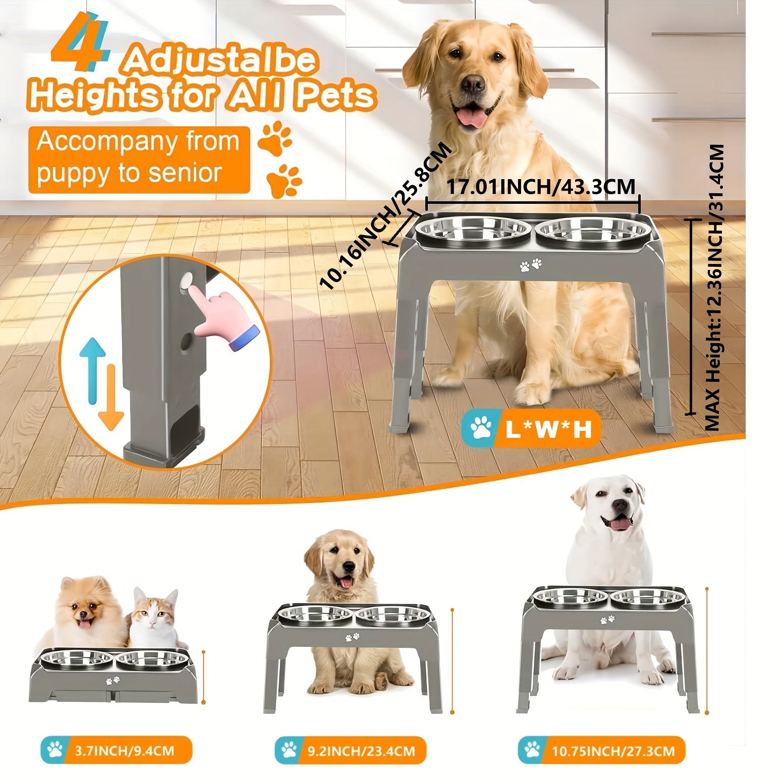 Elevated Dog Bowl Stand with 2 Stainless Steel Bowls by Snagg A Feeder