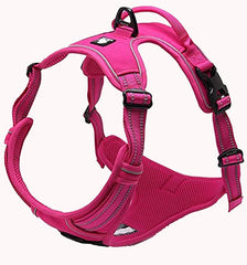 Tactical Dog Collar & Leash Set by Snagg A Harness