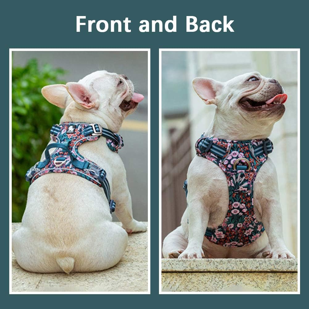 Tactical Dog Collar & Leash Set by Snagg A Harness