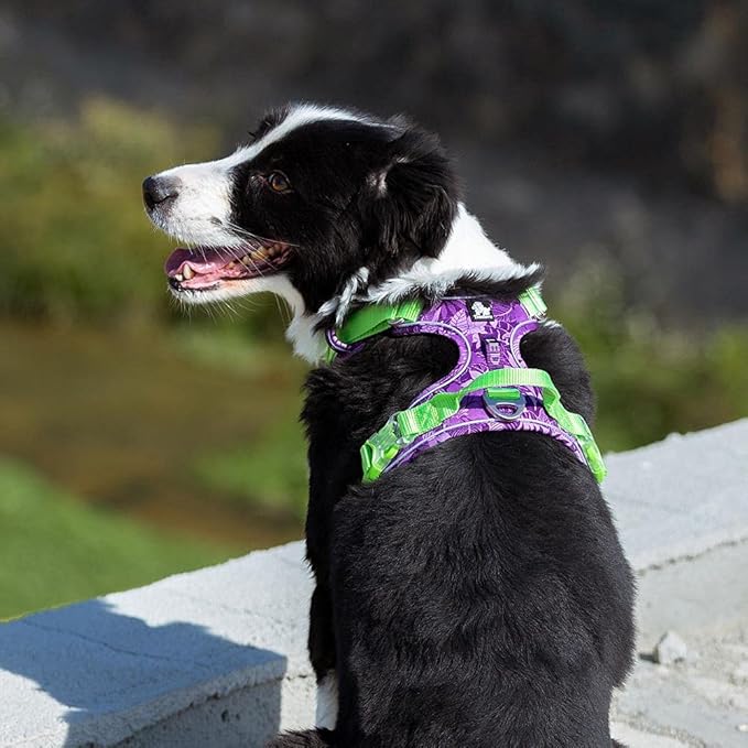 Tactical Purple Dog Harness by Snagg A Harness