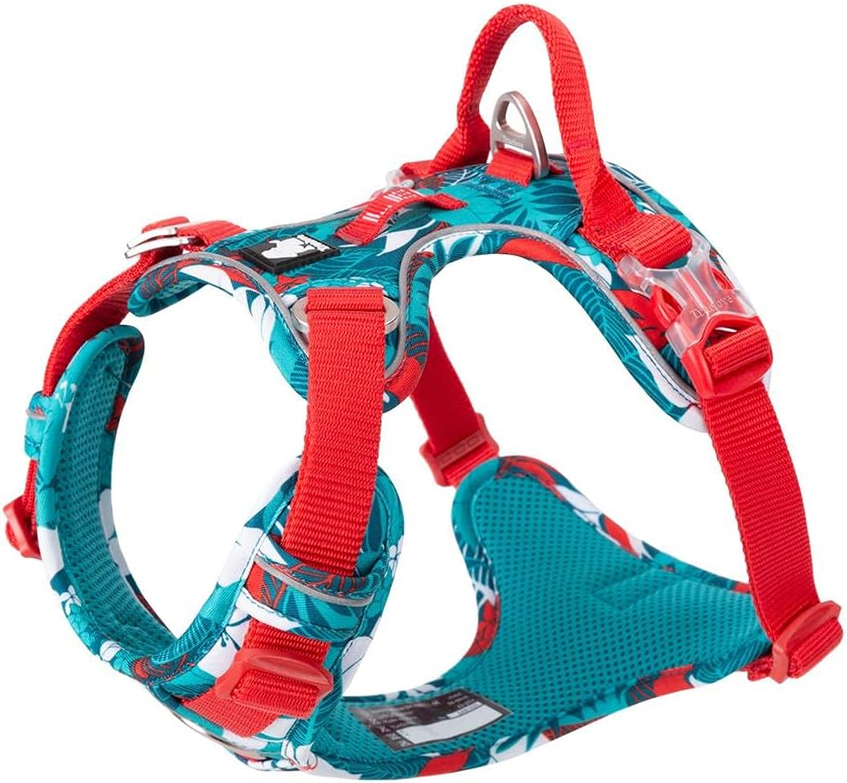 Camouflage Blue Tactical Dog Collar & Leash Set by Snagg A Harness