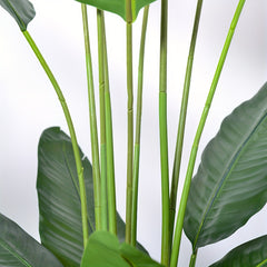 Artificial Bird of Paradise Plant by Snagg A Plant