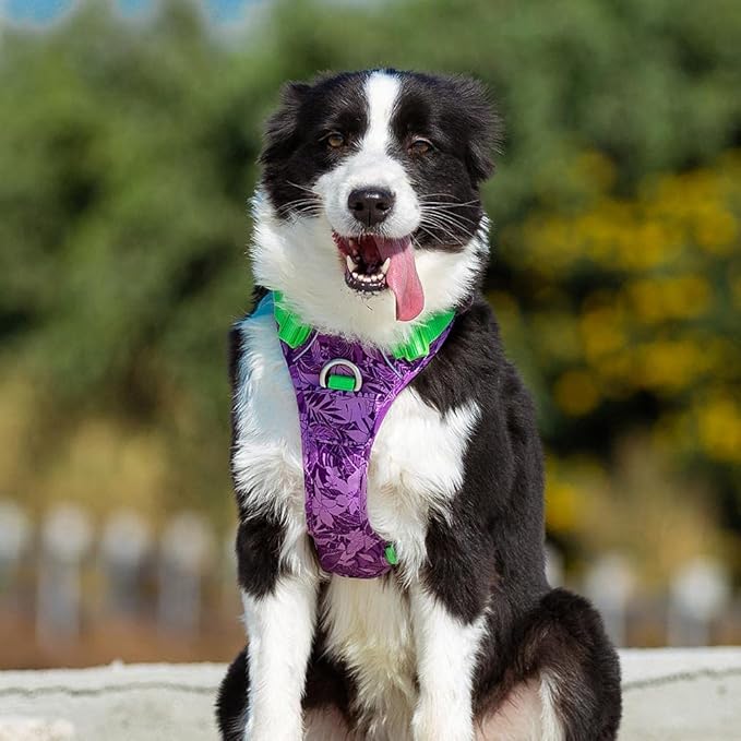 Tactical Purple Dog Harness by Snagg A Harness