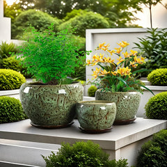 3pcs Decorative Flower Pots with Trays by Snagg A Pot