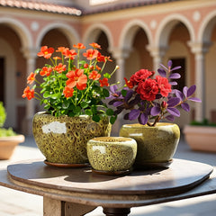 3pcs Decorative Flower Pots with Trays by Snagg A Pot