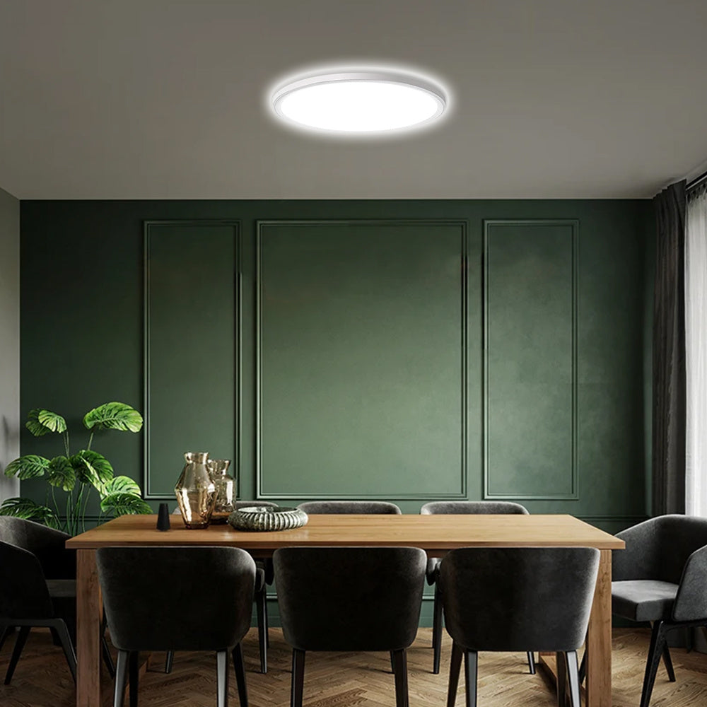 LED Ceiling Ultra Thin Round Downlight by Snagg A Ceiling Light