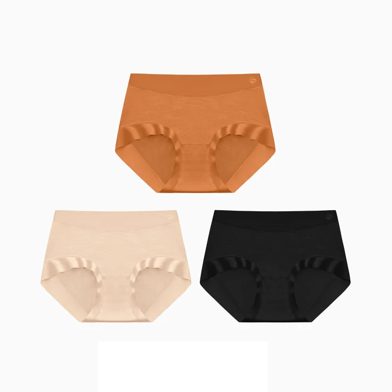 Seamless Antibacterial Briefs | 3-Pack Breathable Stretch Comfortable Women's Panties