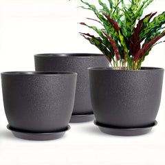6pcs 10" Plastic Planter Set with Trays by Snagg A Pot