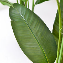 Bird of Paradise Artificial Palm Tree by Snagg A Plant