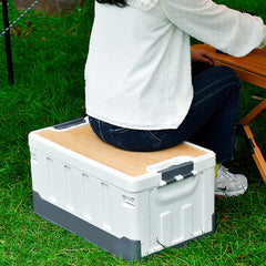 60L Collapsible Car Trunk Storage Bin with Lid by Snagg A Storage Box