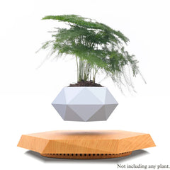 Magnetic Levitating Plant Pot by Snagg A Plant