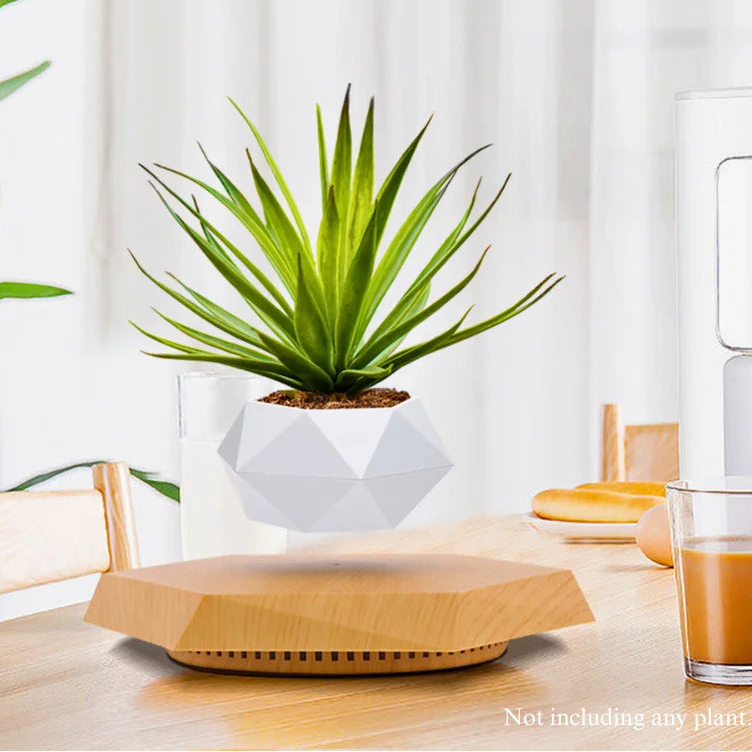 Magnetic Levitating Plant Pot by Snagg A Plant