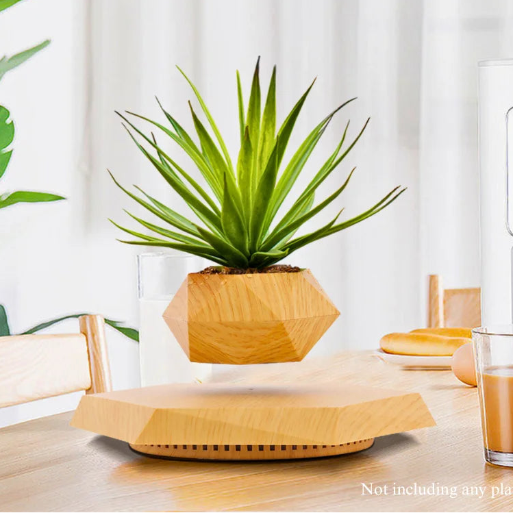 Magnetic Levitating Plant Pot by Snagg A Plant