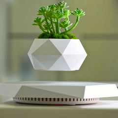 Magnetic Levitating Plant Pot by Snagg A Plant