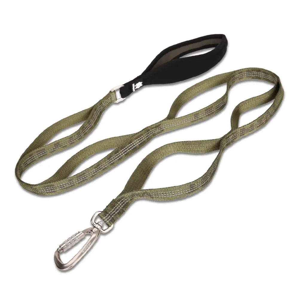 Heavy-Duty Reflective Dog Leash with Carabiner by Snagg A Leash