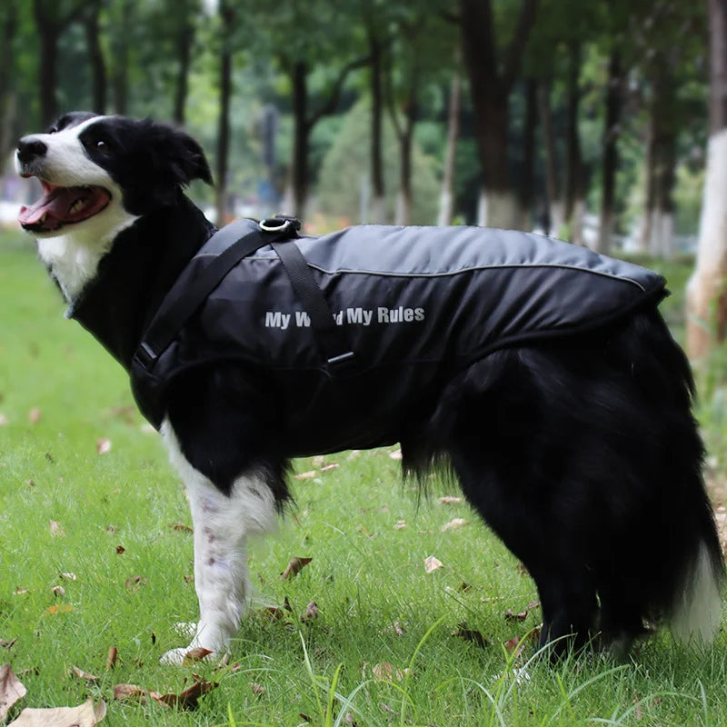 Waterproof Winter Dog Coat by Snagg A Coat