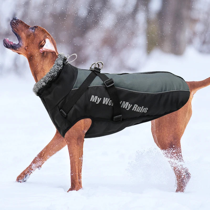Waterproof Winter Dog Coat by Snagg A Coat