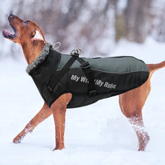 Waterproof Winter Dog Coat by Snagg A Coat