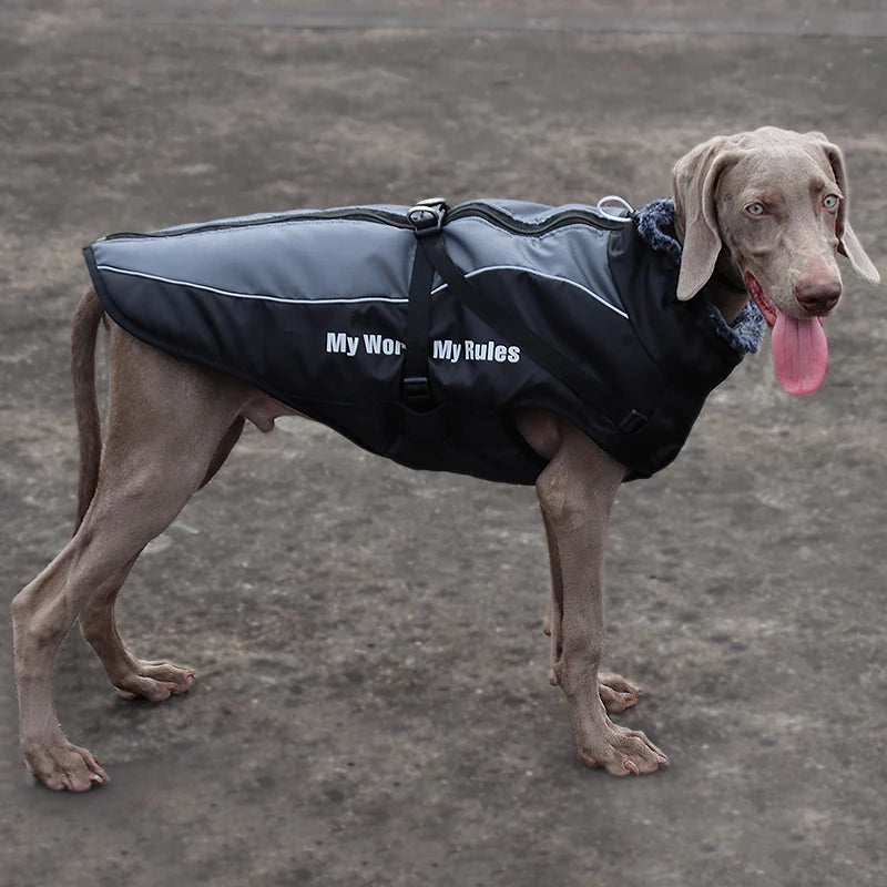 Waterproof Winter Dog Coat by Snagg A Coat