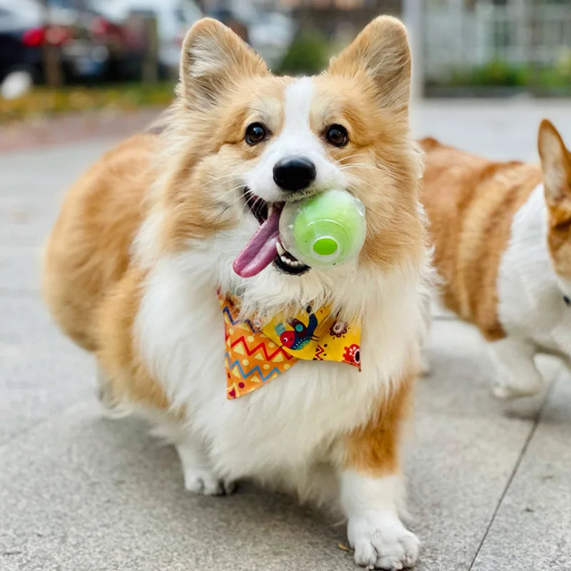 Durable Squeaker Dog Ball by Snagg A Toy