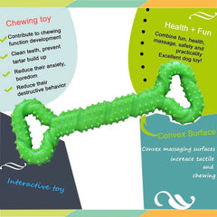 Durable Dog Chew Toy Bone with Convex Design - SnaggIt