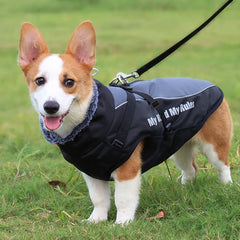 Waterproof Winter Dog Coat by Snagg A Coat