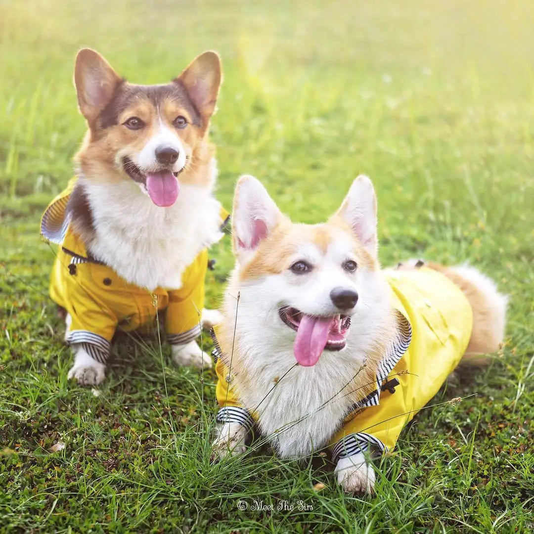 Waterproof Dog Raincoat with Hood by Snagg A Raincoat