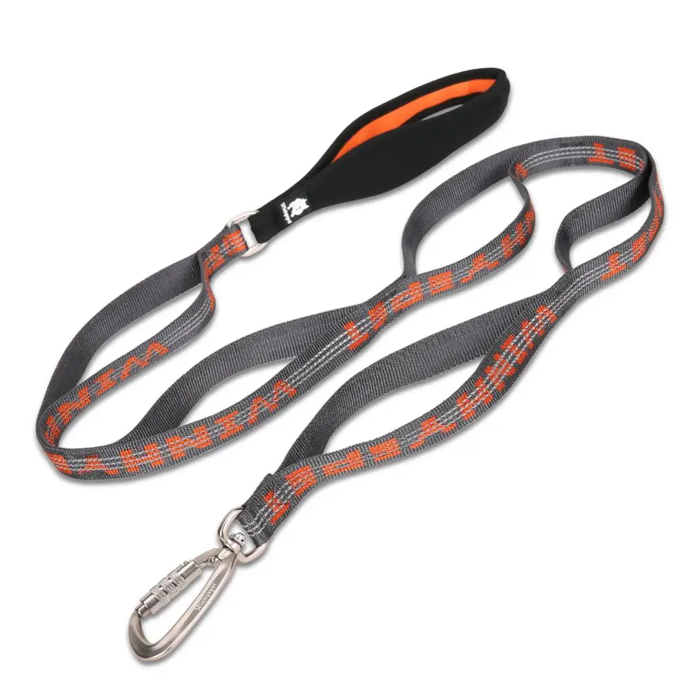 Heavy-Duty Reflective Dog Leash with Carabiner by Snagg A Leash