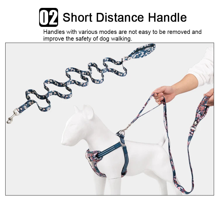 Floral Pet Leash with Neoprene Padded Handle by Snagg A Leash