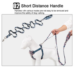Floral Pet Leash with Neoprene Padded Handle by Snagg A Leash