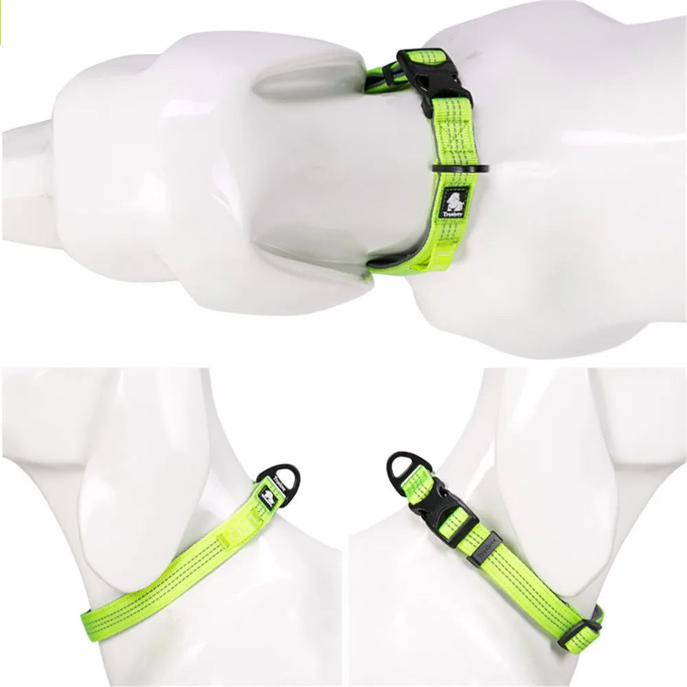 Reflective Dog Collar by Snagg A Pet Collars