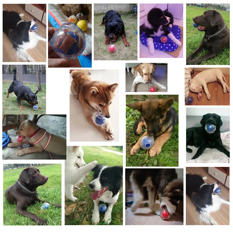 Durable Squeaker Dog Ball by Snagg A Toy