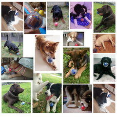 Durable Squeaker Dog Ball by Snagg A Toy