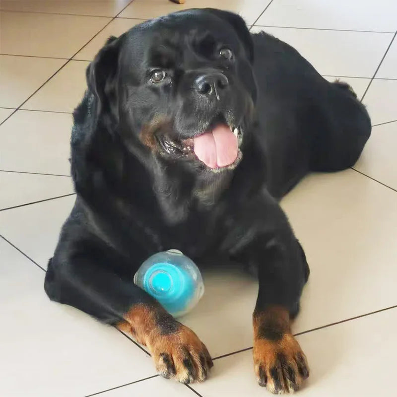 Durable Squeaker Dog Ball by Snagg A Toy