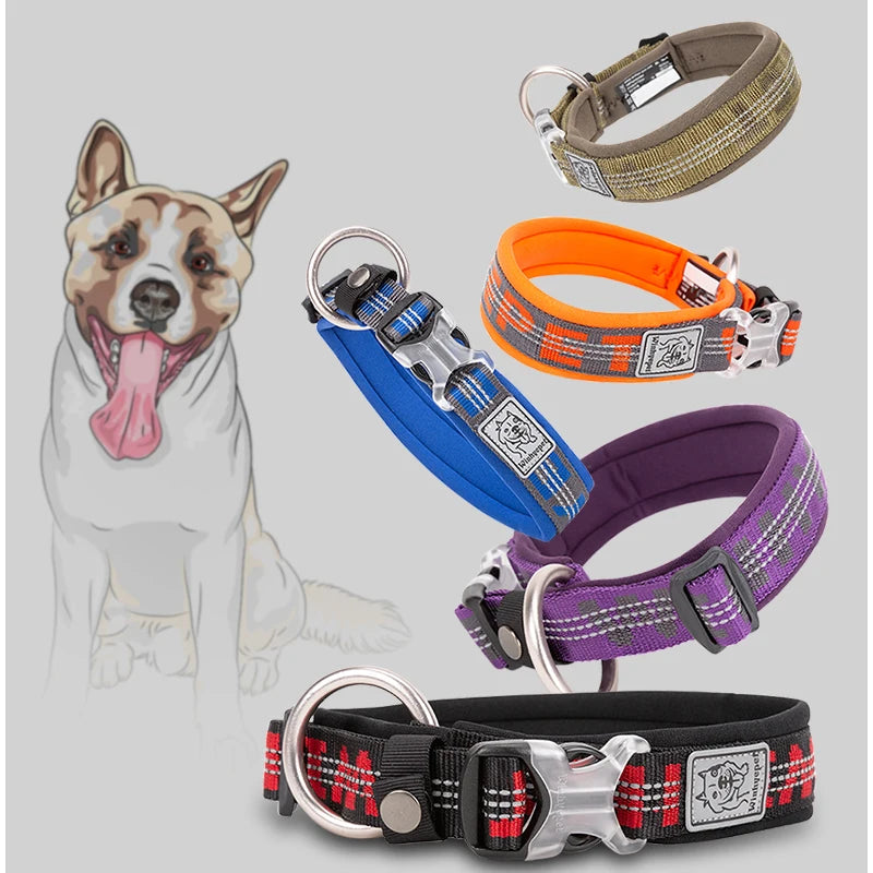 Reflective Neoprene Padded Dog Collar by Snagg A Pet Collars