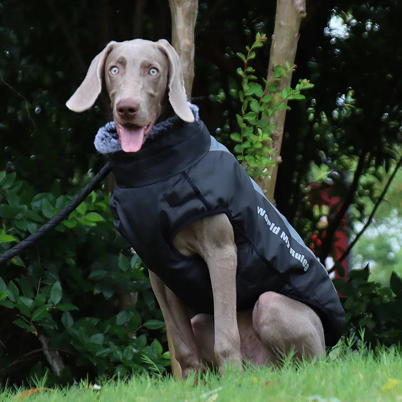Waterproof Winter Dog Coat by Snagg A Coat
