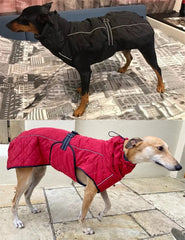 Waterproof Outdoor Dog Jacket by Snagg A Jacket