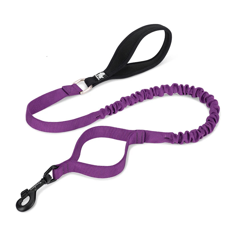 Flexible Dog Leash by Snagg A Leash