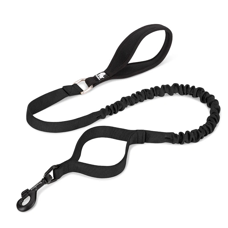 Flexible Dog Leash by Snagg A Leash