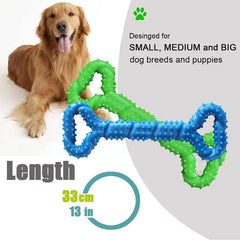Durable Dog Chew Toy Bone with Convex Design - SnaggIt