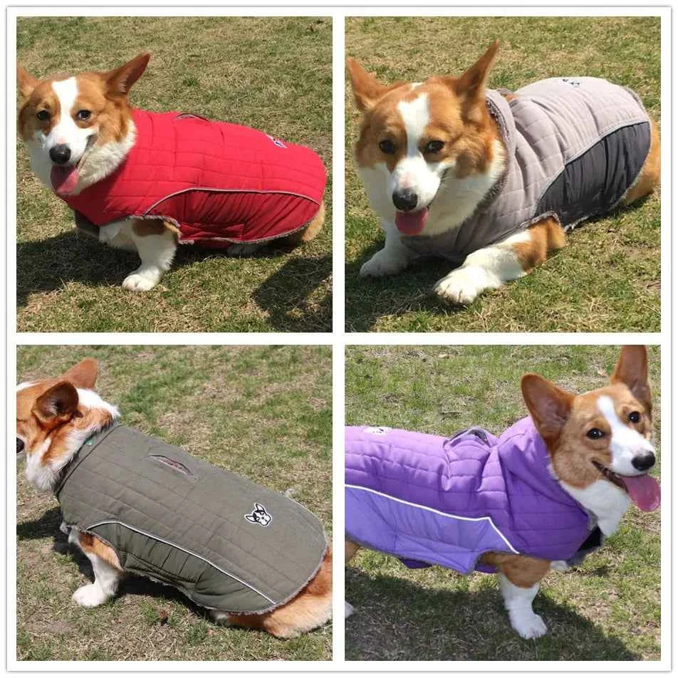 Quilted Dog Jacket with Removable Hood – Thick Fleece Winter Coat with Reflective Strips & Adjustable Belly