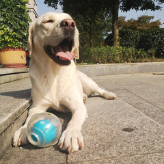 Durable Squeaker Dog Ball by Snagg A Toy