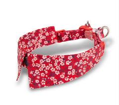 Floral Pet Collar with Bow by Snagg A Pet Collars