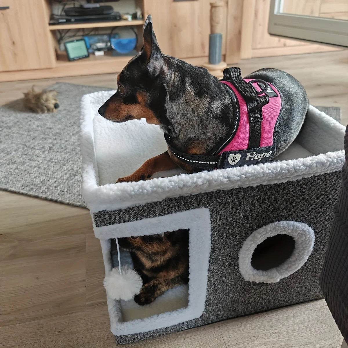 4-Season Multi-Level Cat House - SnaggIt