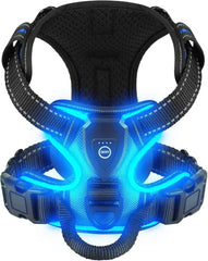 LED Luminous Dog Harness by Snagg A Harness