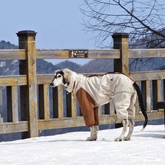 Winter Snow Guard 4 Legged Plush Dog Jacket