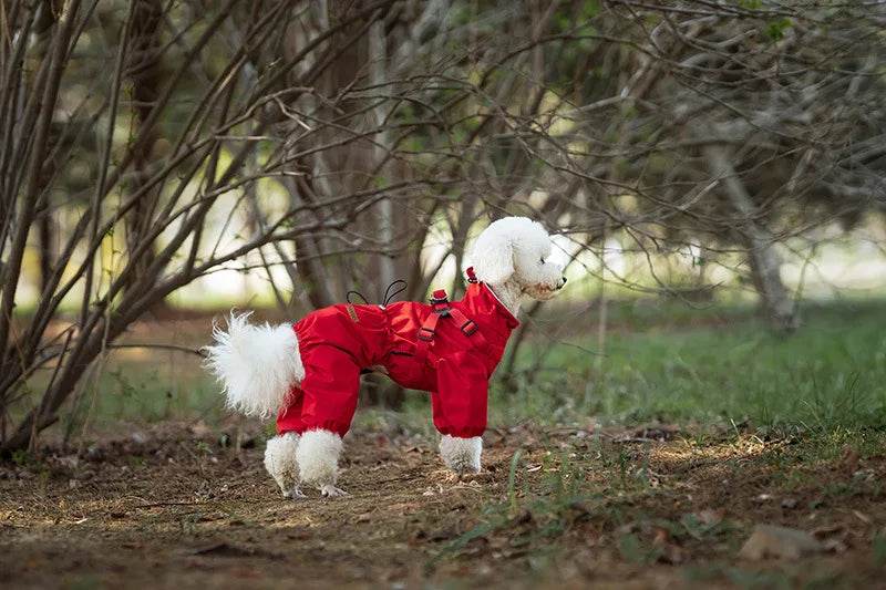 Adjustable Waterproof Dog Raincoat - SnaggIt