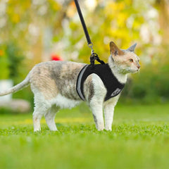Breathable Escape-Proof Cat Harness & Leash Set - SnaggIt