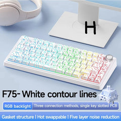 75% Wireless Mechanical Keyboard for a Premium Gaming Experience by Snagg A Keyboard