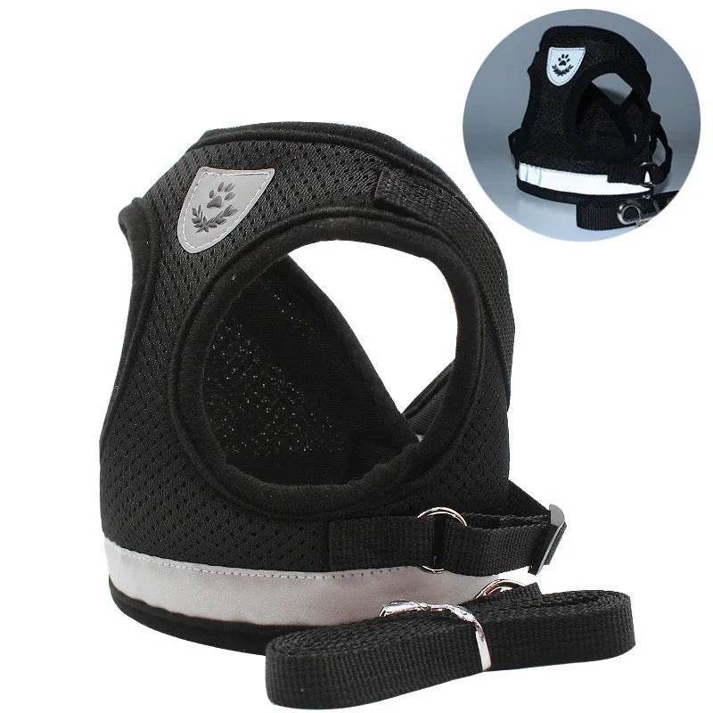 Breathable Escape-Proof Cat Harness & Leash Set - SnaggIt